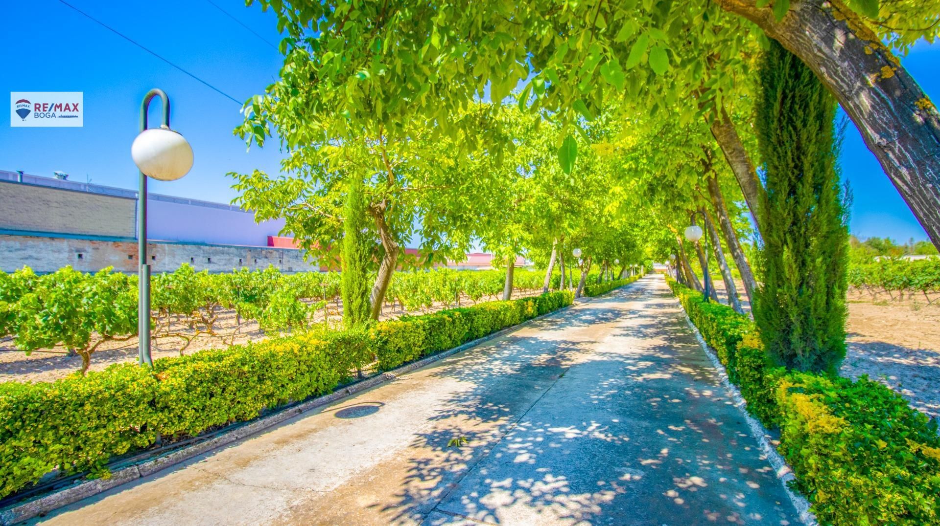 Vista exterior de Casa o xalet en venda en Oyón-Oion amb Aire condicionat, Calefacció i Jardí privat
