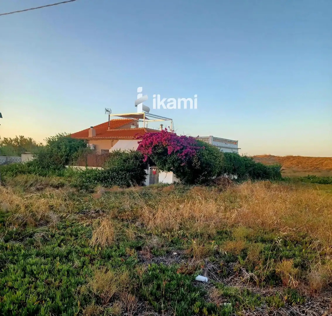 Houses for sale in Oliva Playa