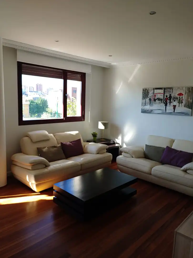 Living room of Flat for rent in Santander  with Heating, Parquet flooring and Furnished