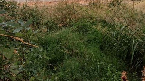 Photo 3 of Residential for sale in La Franquesa - Oasis Park, El Vendrell