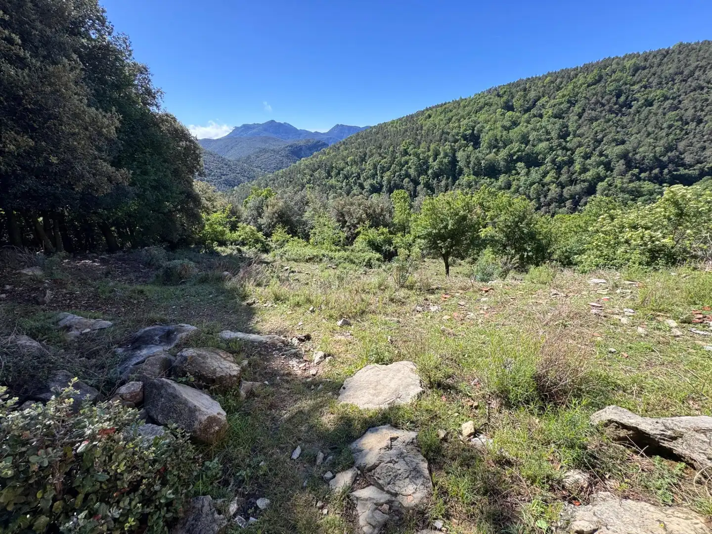 Finca rústica en venta en Albanyà con Jardín privado, Terraza y Trastero