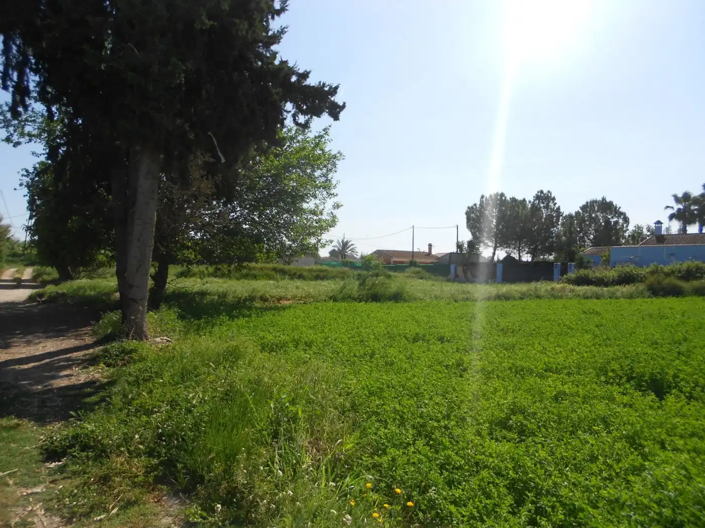 Terreny residencial en venda a El Llano, imagen 2