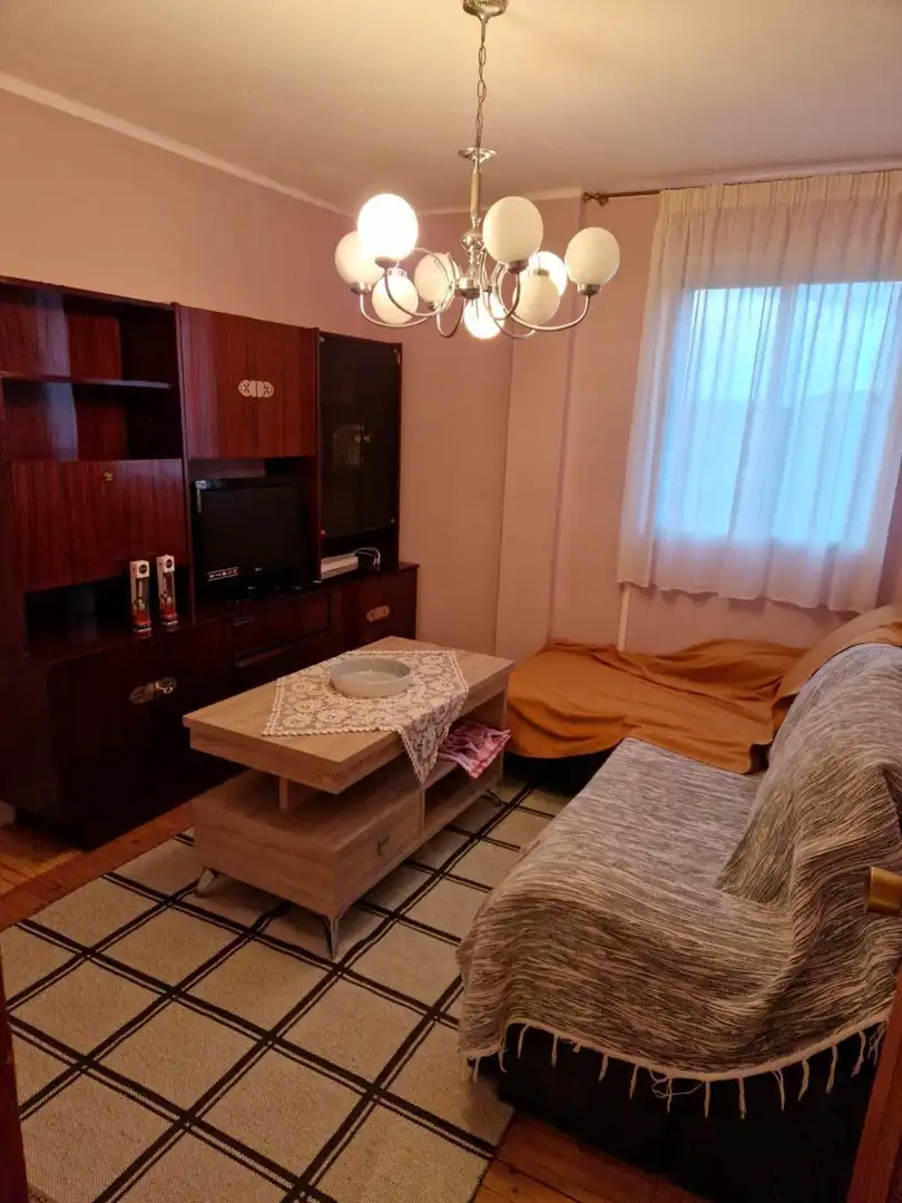 Sala d'estar de Pis de lloguer en Burgos amb Calefacció i Moblat
