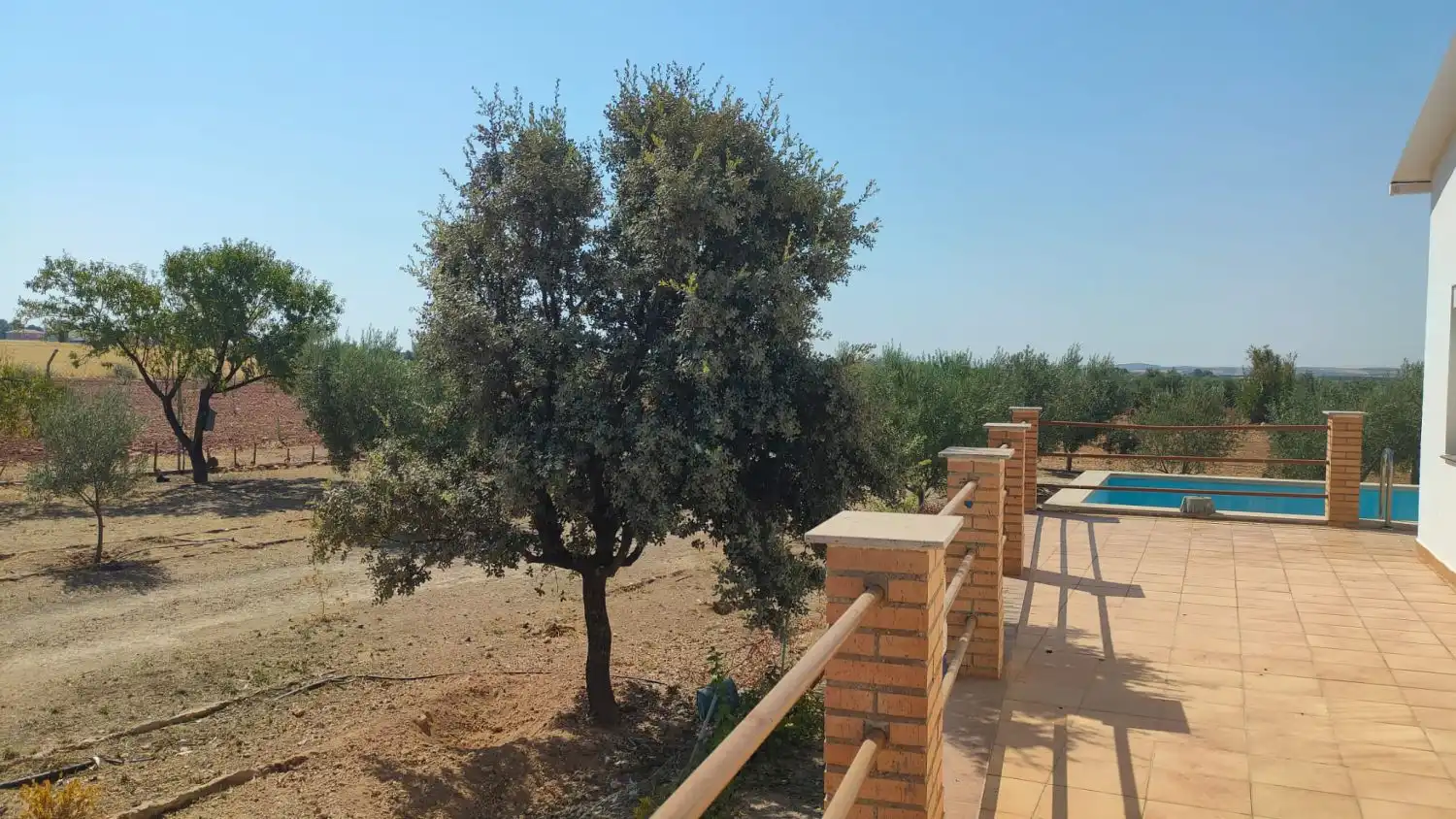 Casa rustica in vendita a Valdepeñas, imagen 31