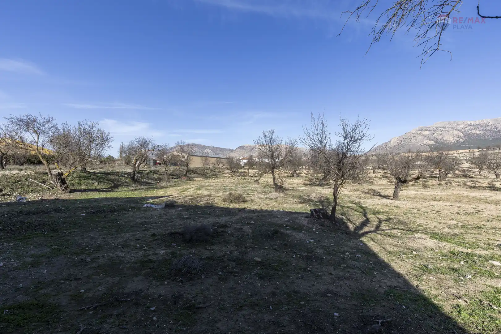 Rural land for sale in Paraje el Vivero 1, imagen 9