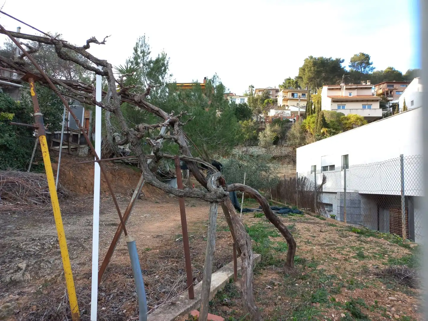 Terreno residencial en venta en Cervelló, imagen 4