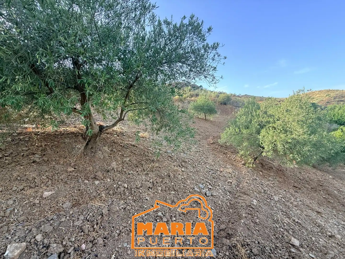 Terreno rustico in vendita a Almogía, imagen 16