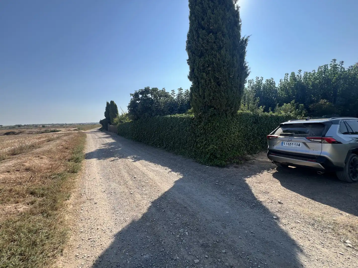 Terreno rústico en venta en Carretera d'Artesa, imagen 4