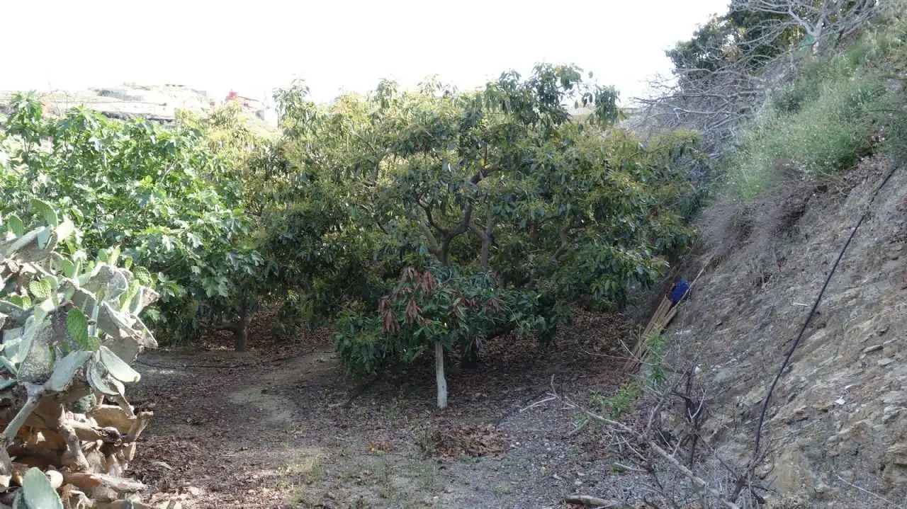 Finca rústica en venda en Molvízar