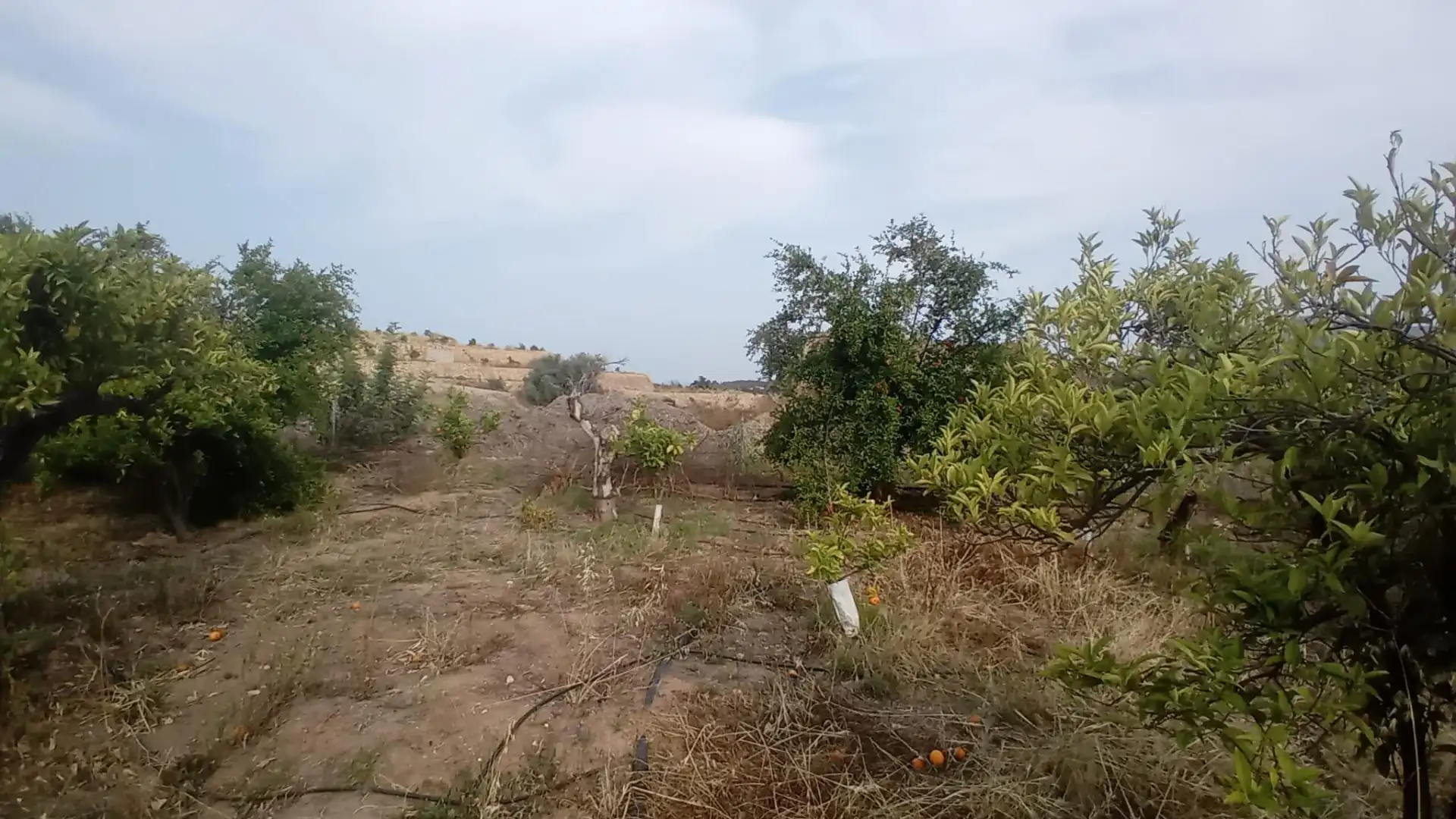 Rural land for sale in Altea ciudad, imagen 25