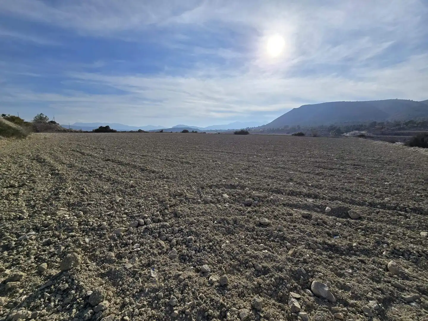 Rural land for sale in Novelda, imagen 2