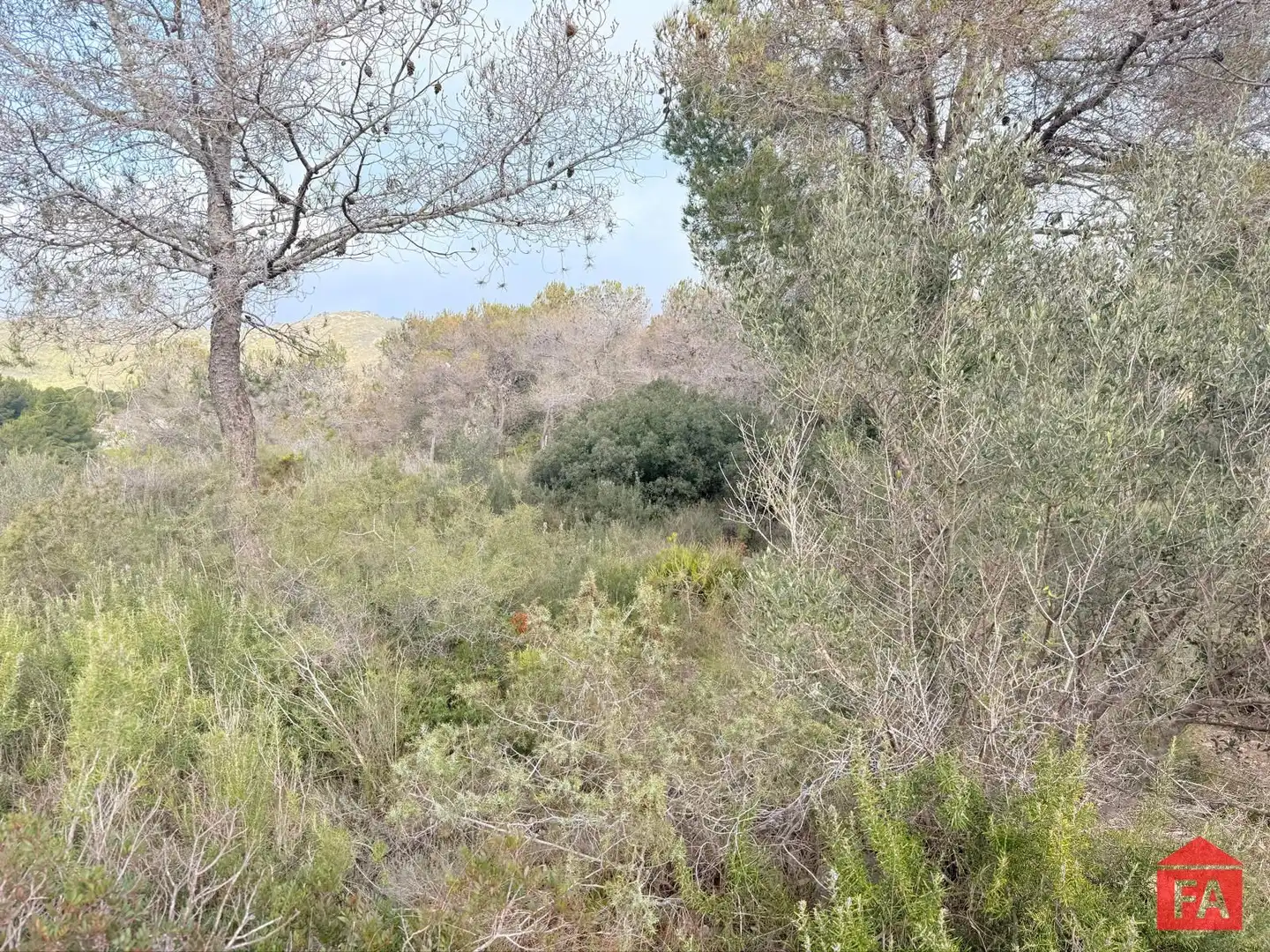 Terreny rústic en venda a Monturiol, imagen 7