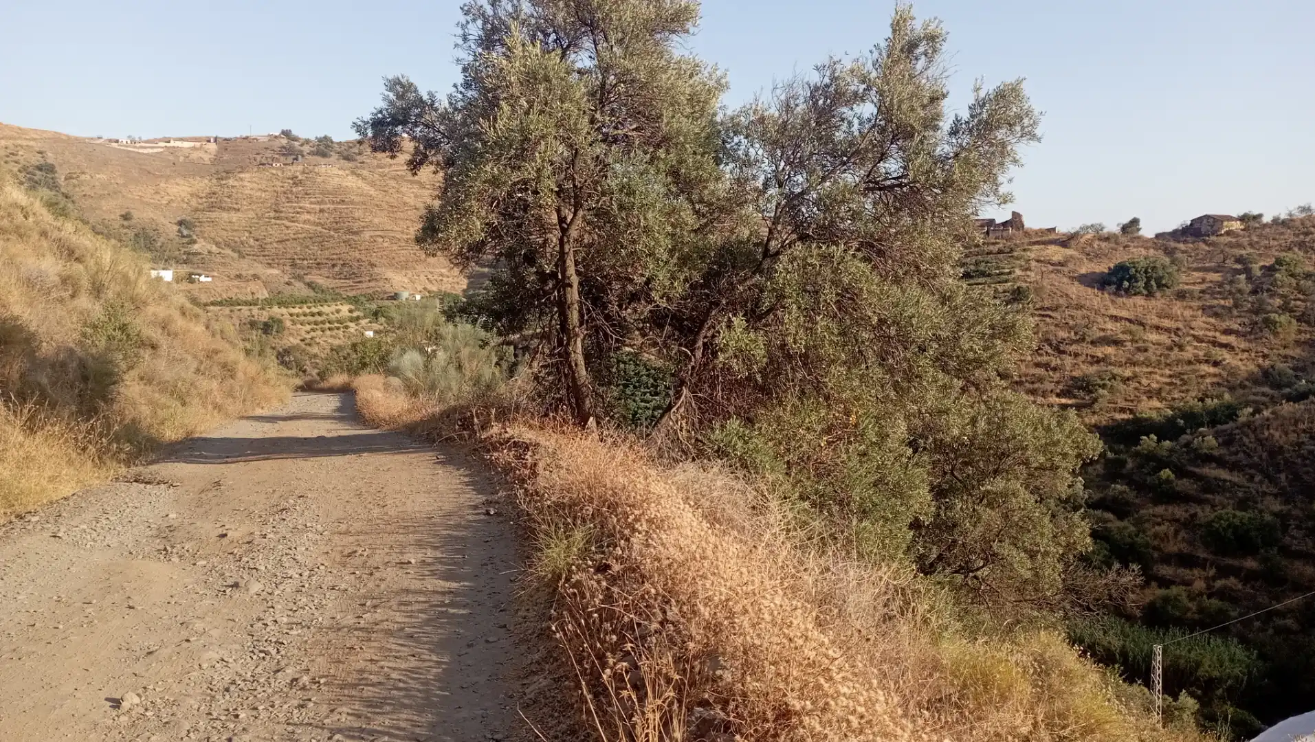 Terreno en venta en Torrox