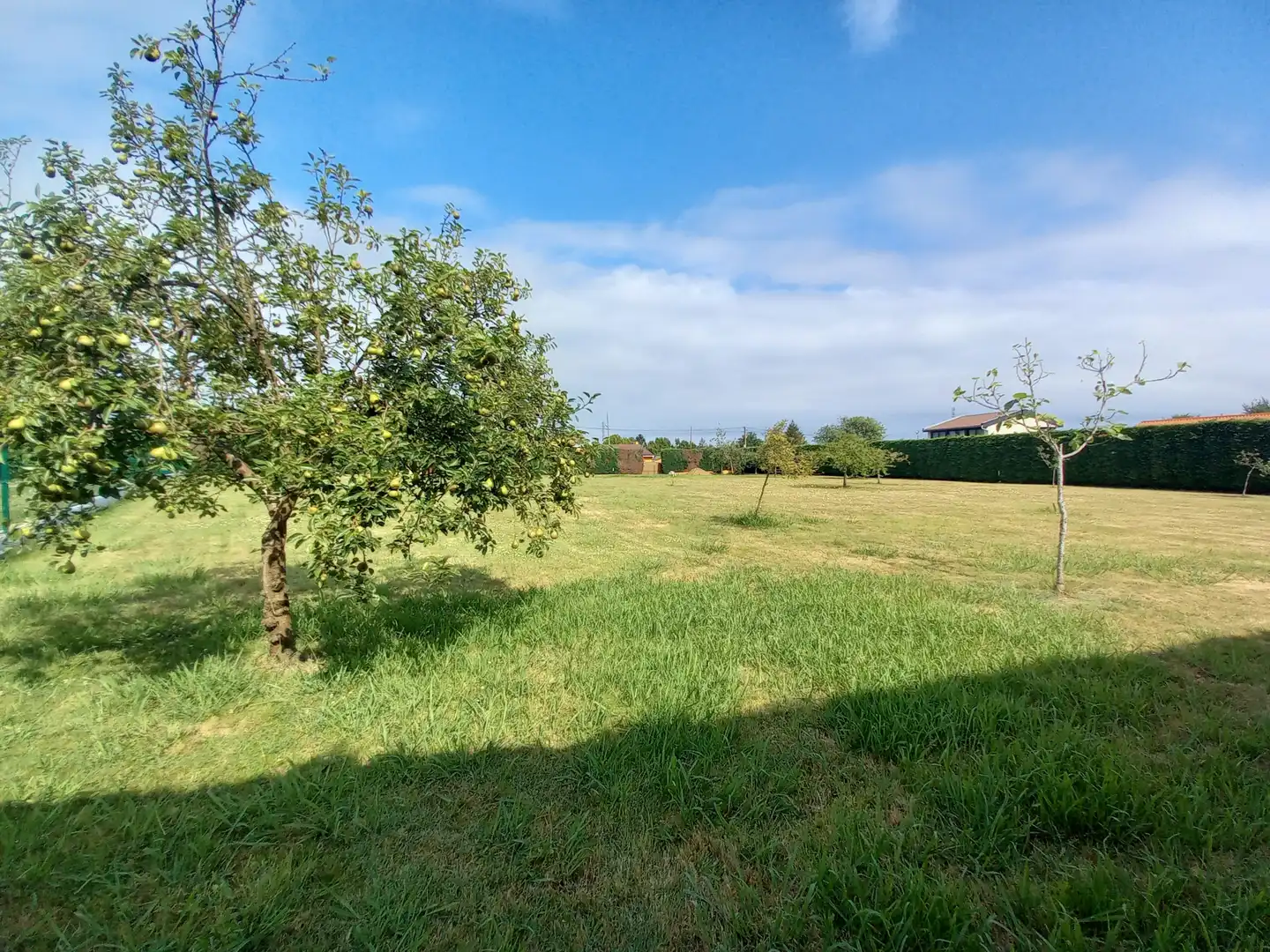 Land for sale in Muros de Nalón