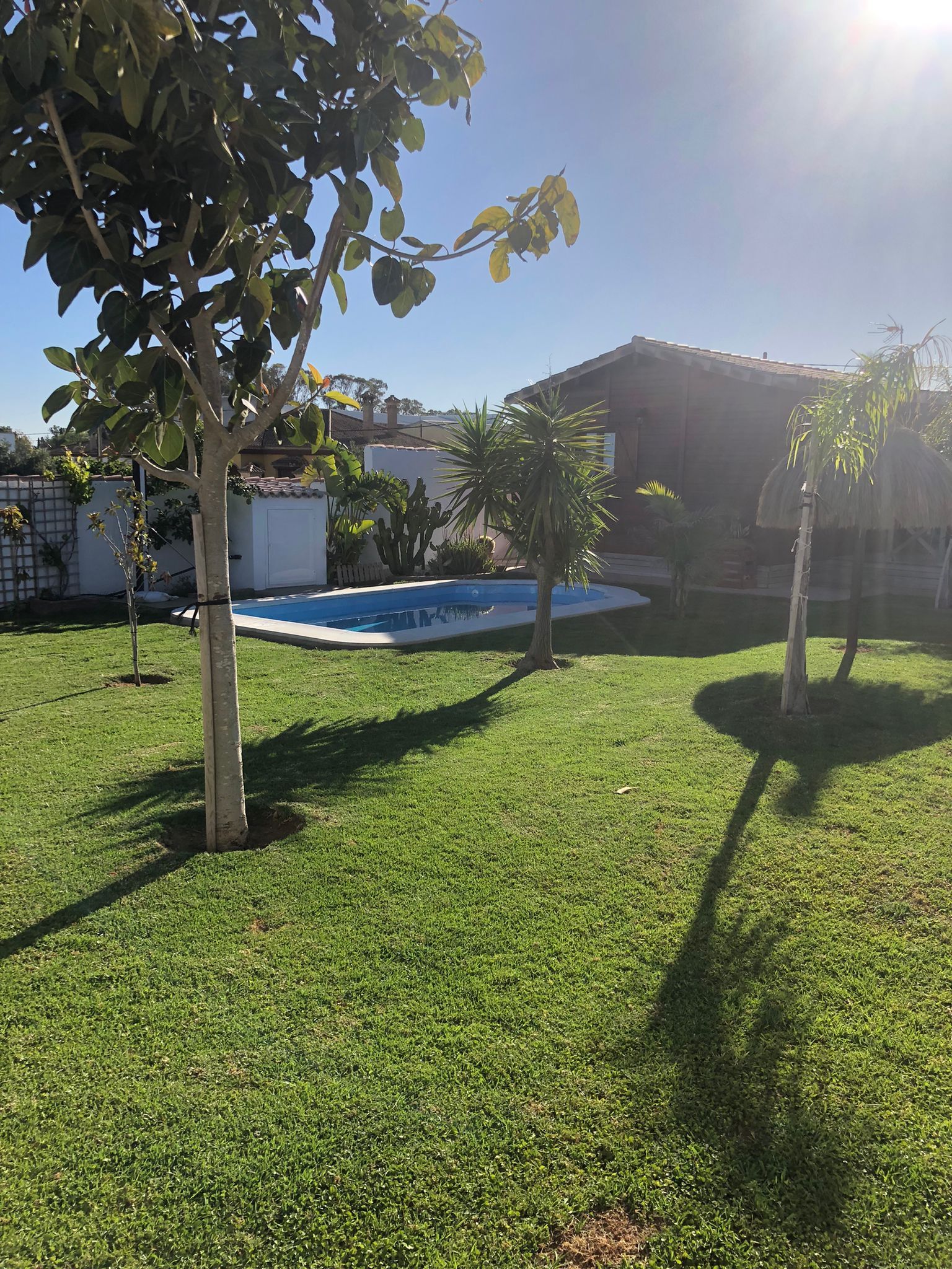 Swimming pool of House or chalet to rent in Chiclana de la Frontera  with Air Conditioner, Private garden and Terrace