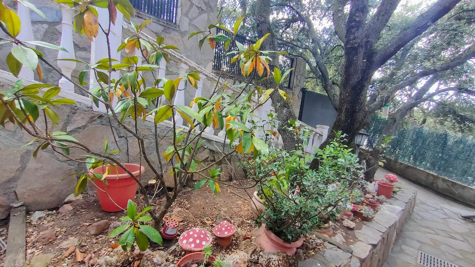 Jardí de Casa o xalet en venda en El Casar amb Calefacció, Jardí privat i Terrassa