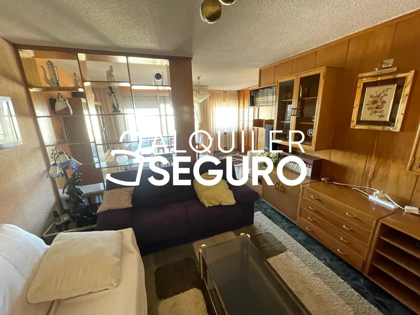 Sala de estar de Piso de alquiler en Madrid con Calefacción, Terraza y Amueblado
