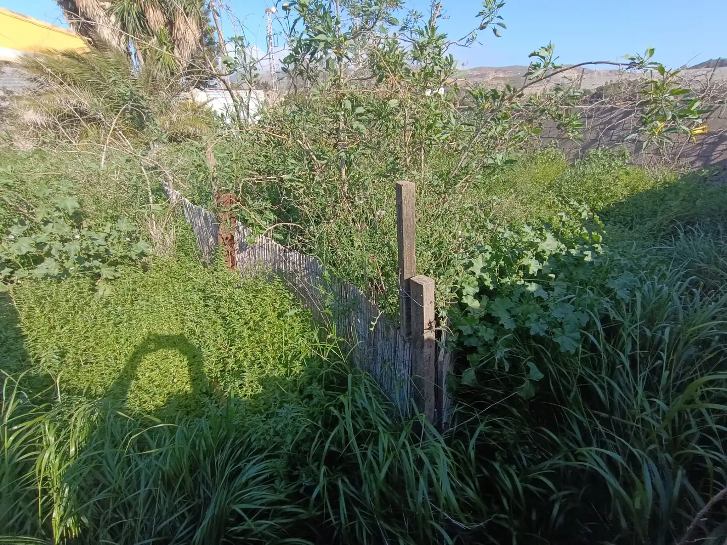 Finca rústica en venda a Pasaje la Esperanza, 21, Alumbres - Escombreras