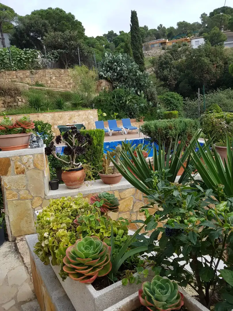Jardí de Casa o xalet en venda en Tossa de Mar amb Aire condicionat, Calefacció i Jardí privat