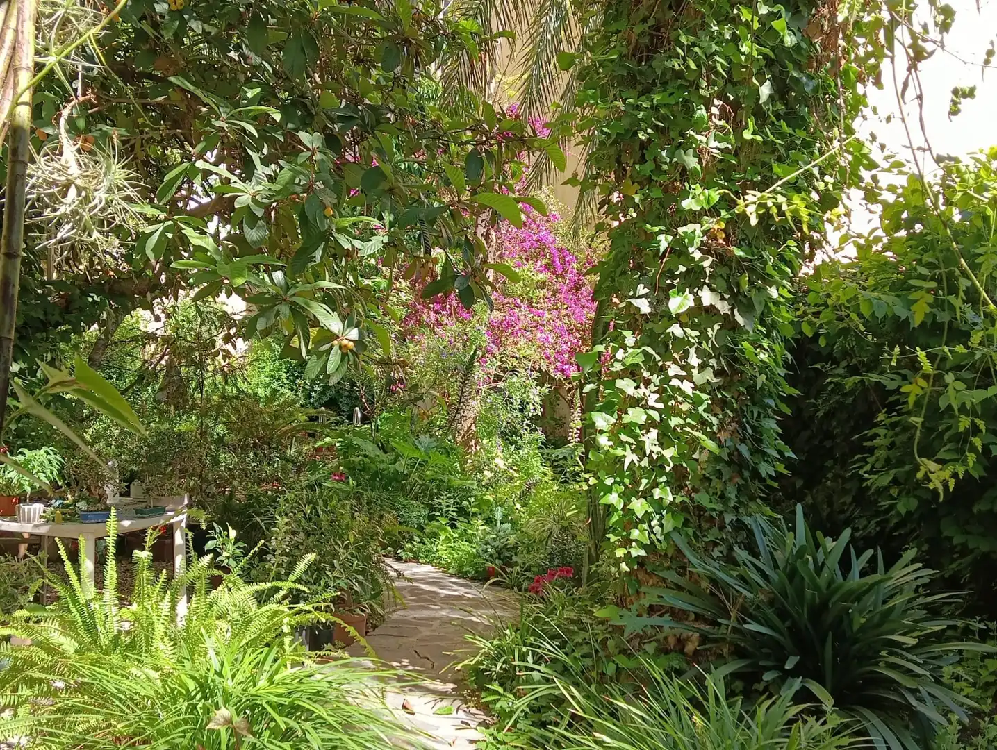 Casa o chalet en venta en Eixample