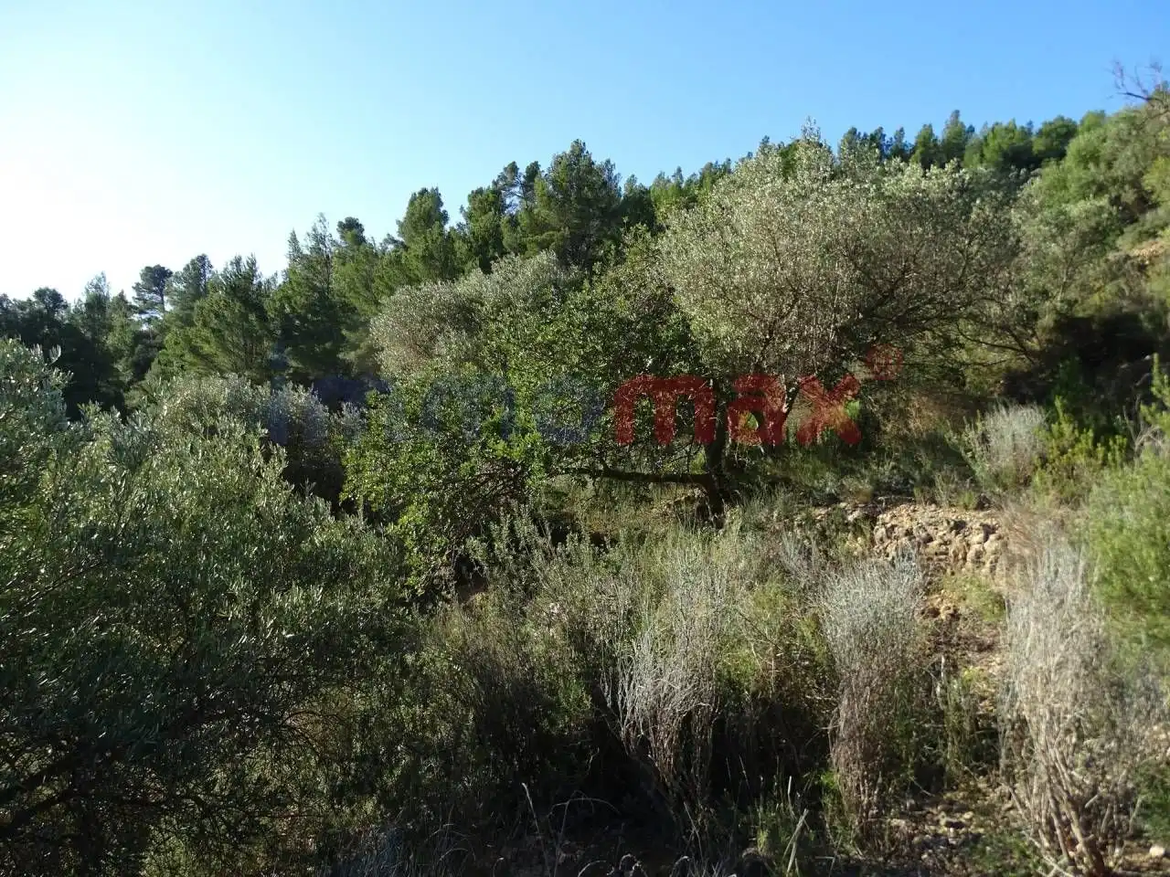 Terrain résidentiel à vendre à Xerta, imagen 17