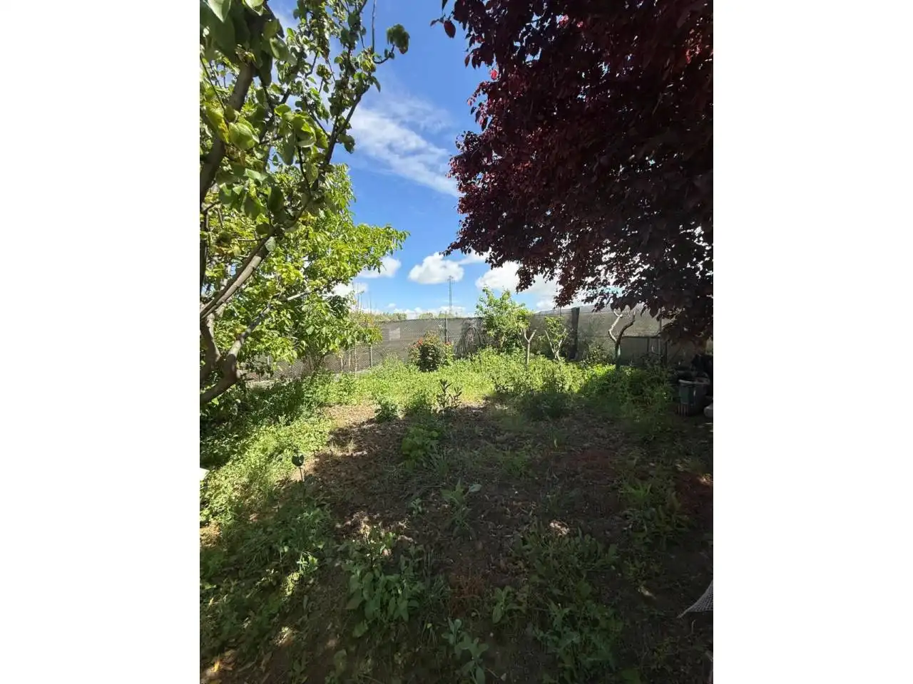 Casa o chalet en venta en Sabiote con Jardín privado y Piscina