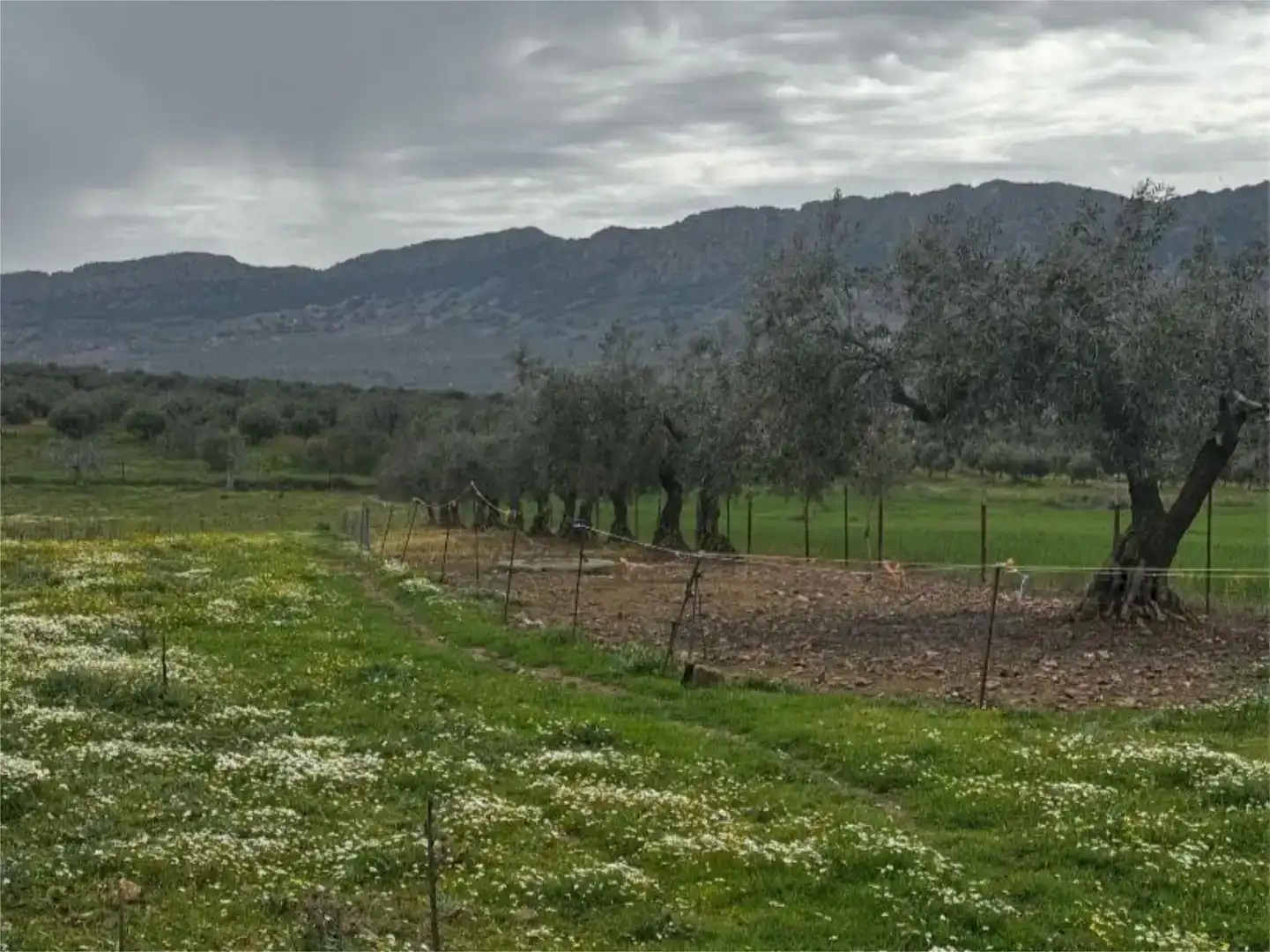 Pis en venda en Cabeza del Buey amb Jardí privat i Traster