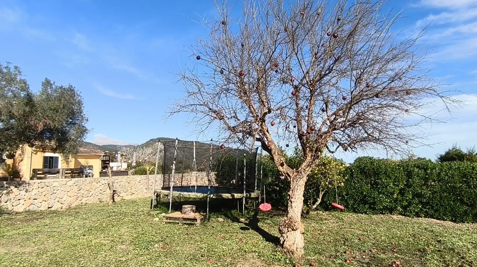 Garden of Houses for sale in Binissalem  with Air Conditioner, Heating and Private garden