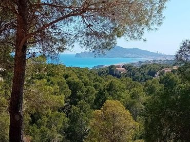 Terrenys i solars en venda a Altea la Vella