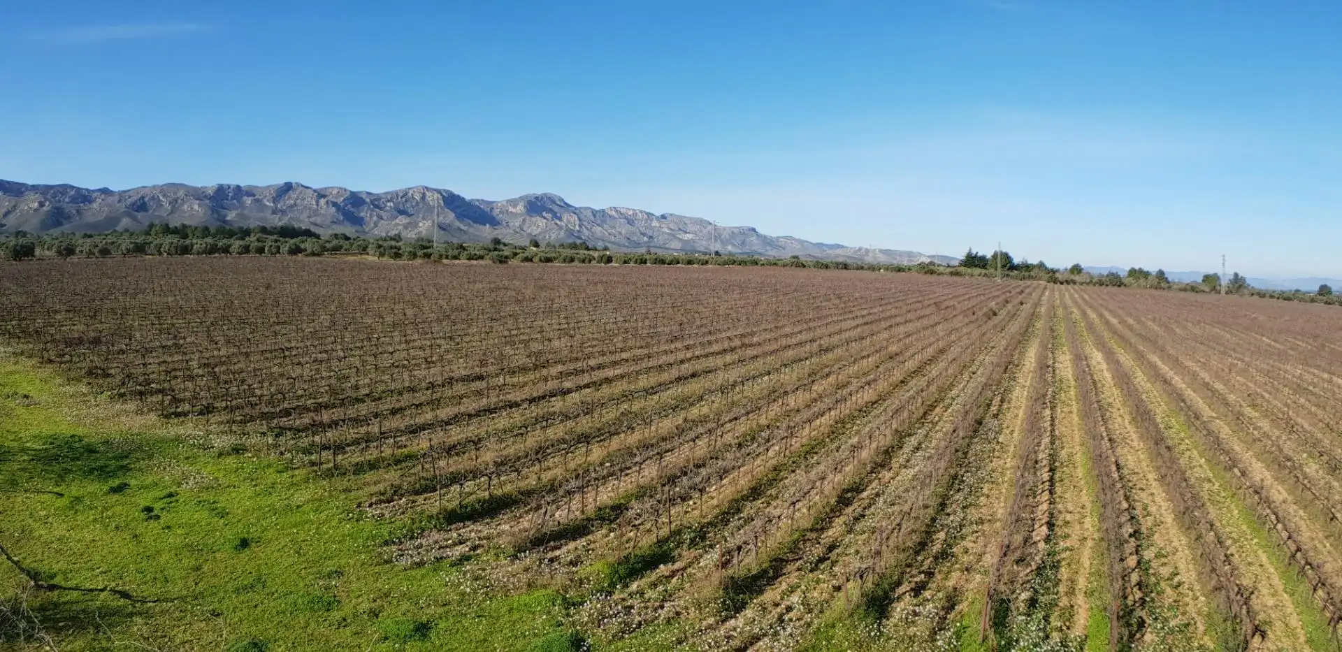 Finca rústica en venta en El Perelló con Jardín privado, Terraza y Trastero