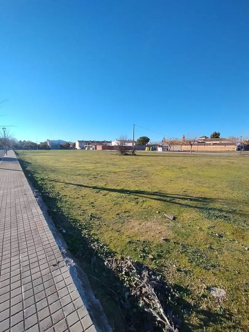 Terrenos y solares en venta en Calle CARRION, imagen 19