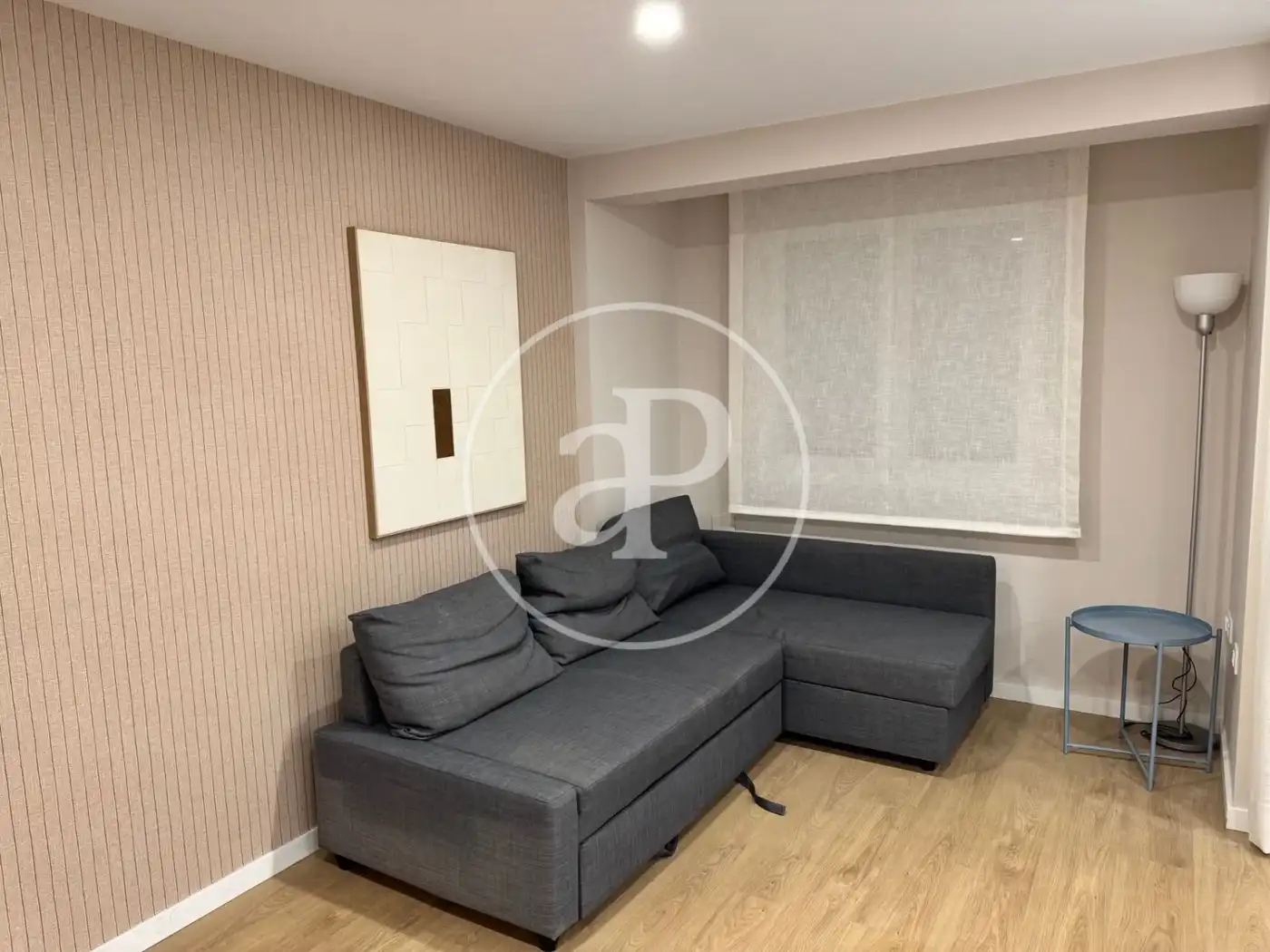 Sala de estar de Piso de alquiler en Valencia con Aire acondicionado, Calefacción y Amueblado