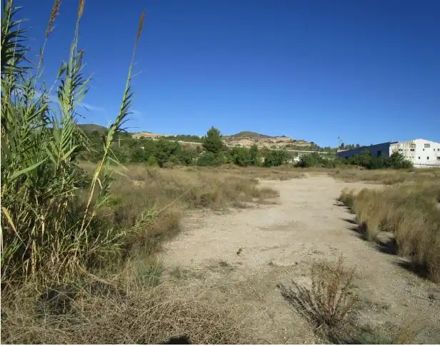 Terreno rustico in vendita a Buñol, imagen 6
