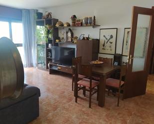 Living room of Flat for sale in L'Arboç