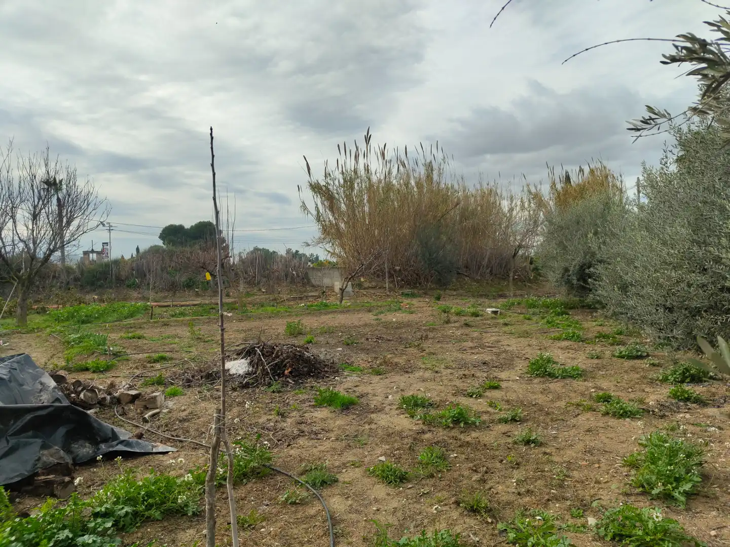 Casa o xalet en venda en Alguazas