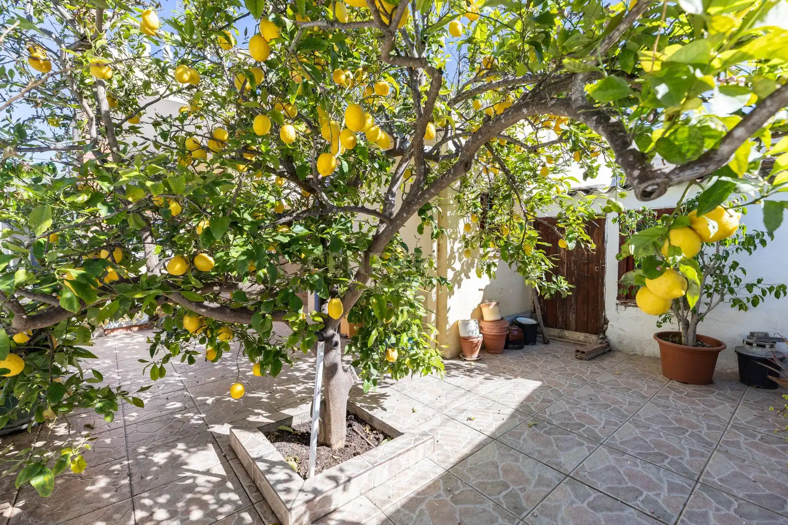Vista exterior de Casa o xalet en venda en El Montmell amb Jardí privat i Traster