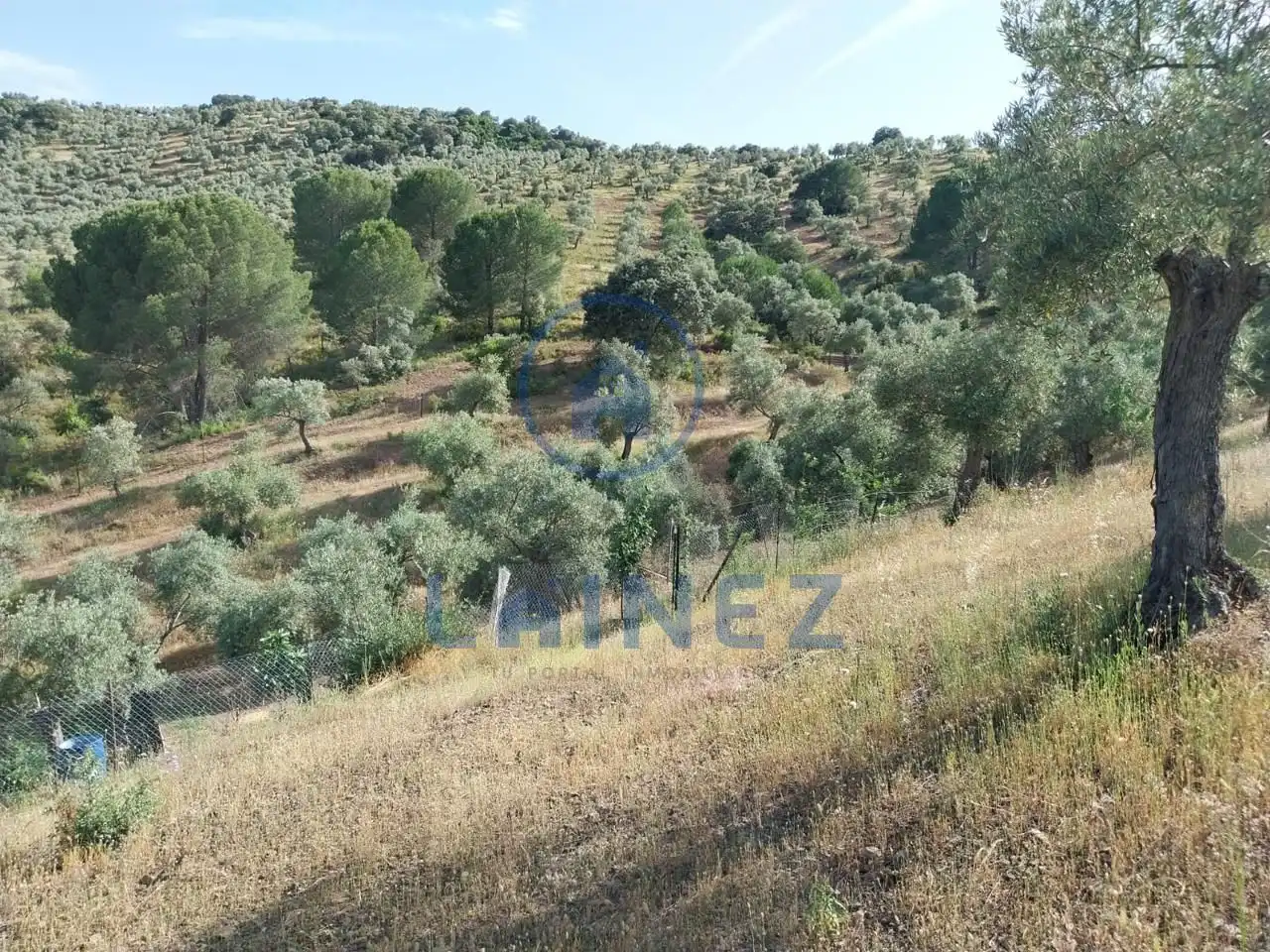 Grundstücke und Bauplätze zum Verkauf in Norte-Sierra, imagen 2
