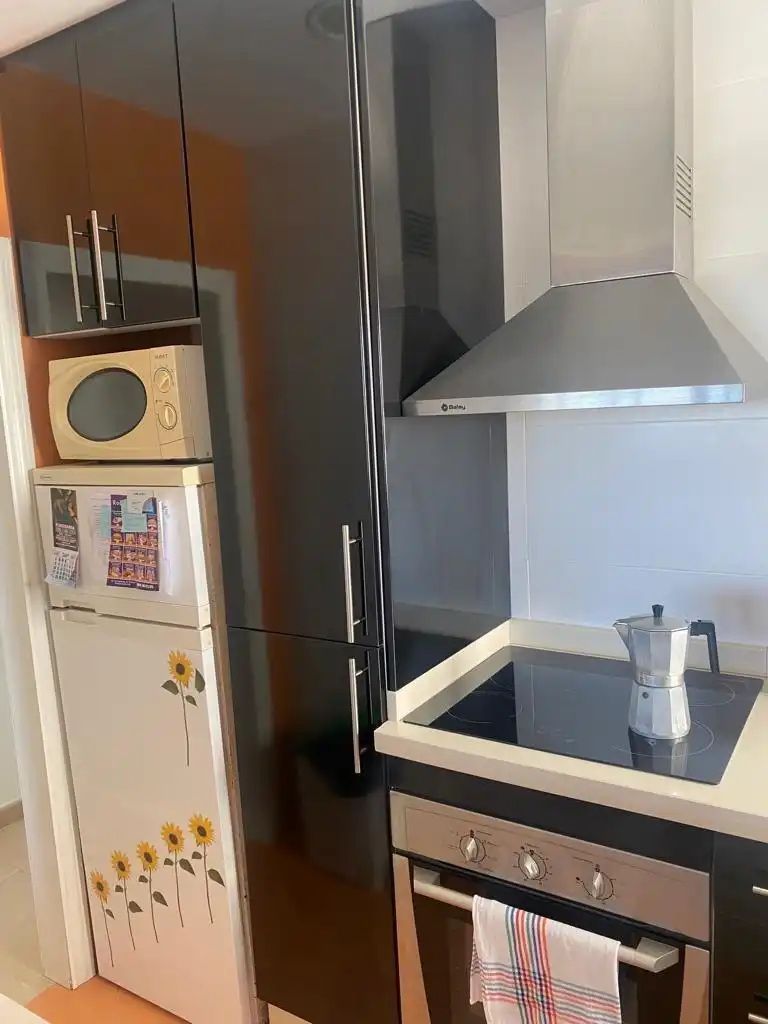 Wohnung zur Miete in Avenida Avenida Mediterráneo, imagen 8