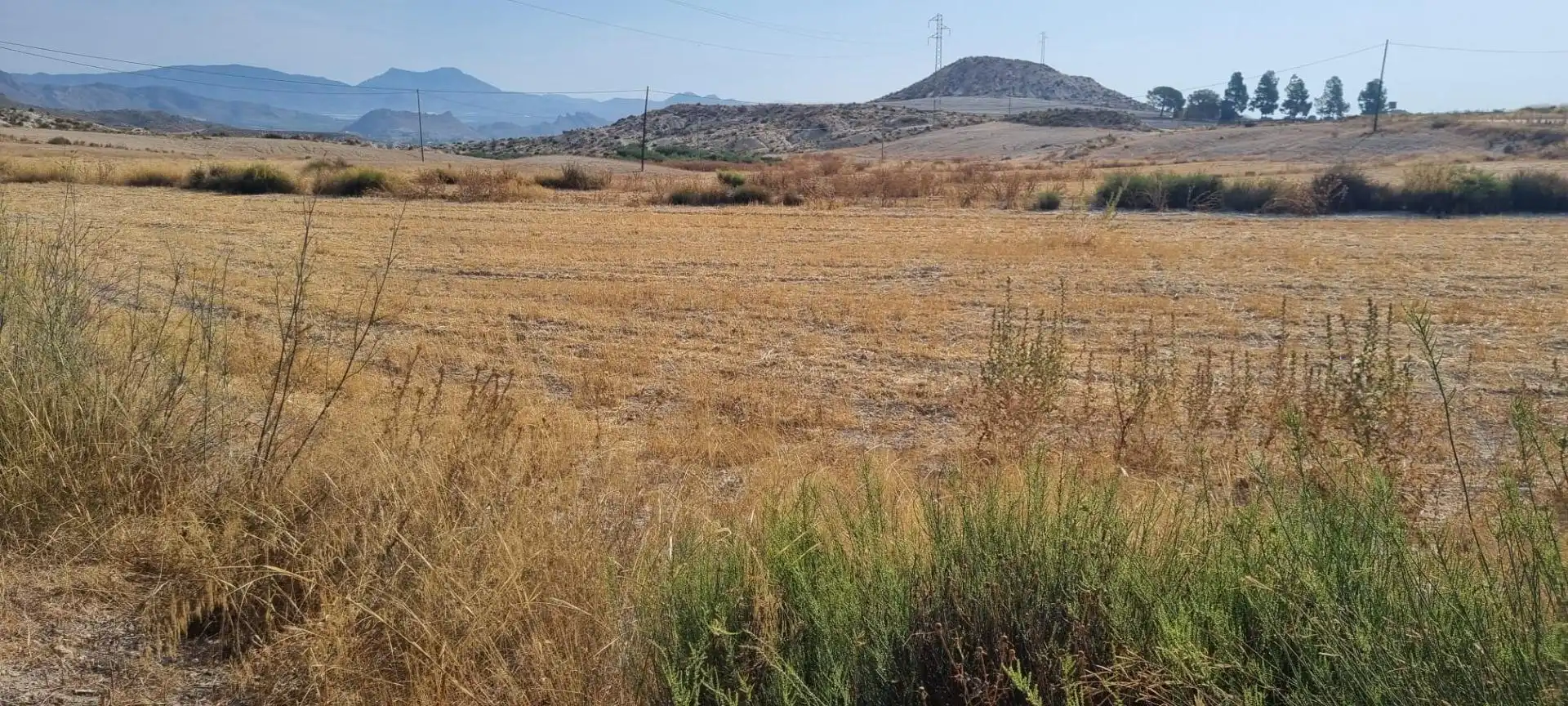 Lands and plots for sale in Mula, imagen 7