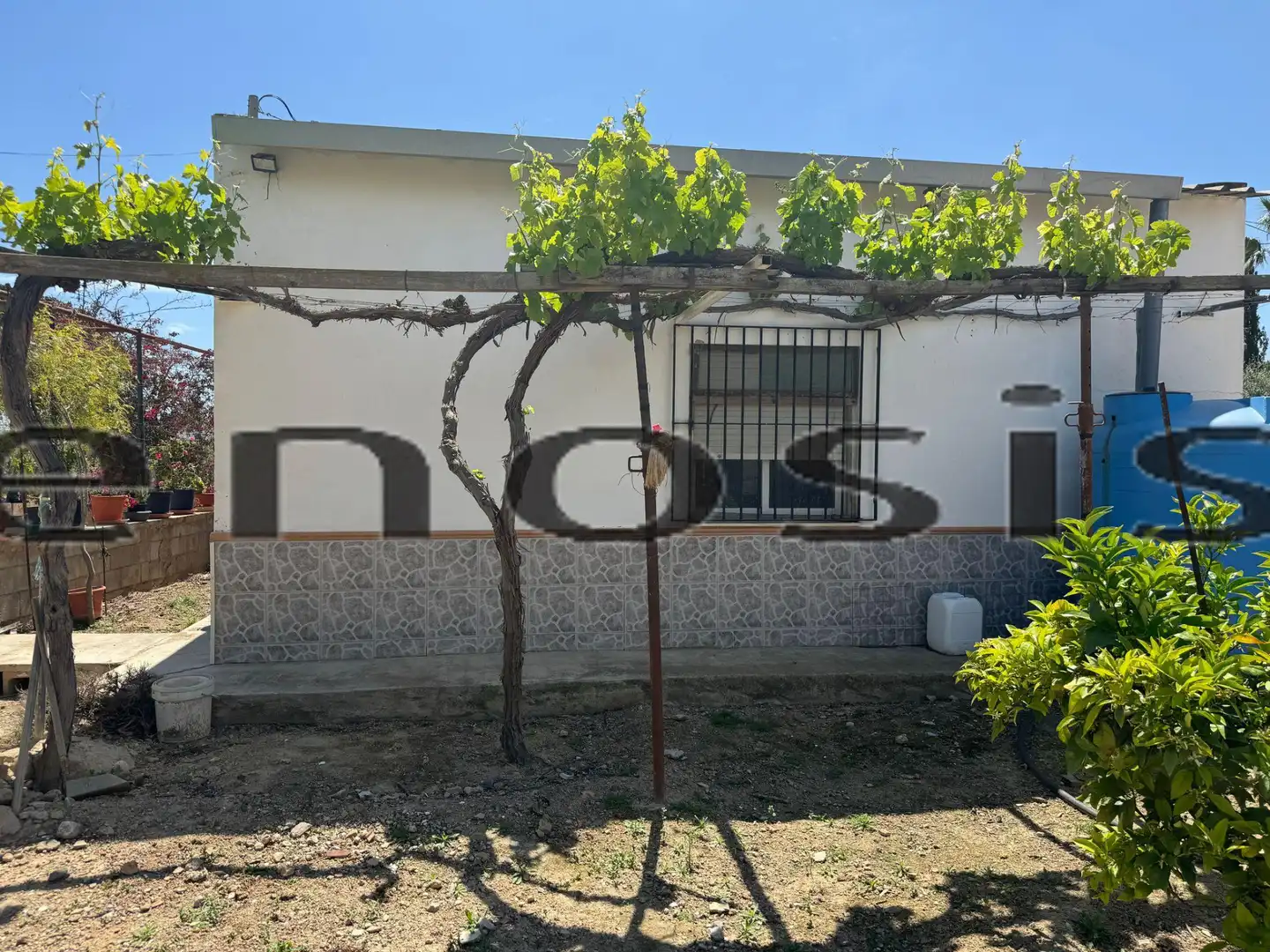 Exterior view of Country homes for sale in Torre-Pacheco  with Private garden, Furnished and Oven