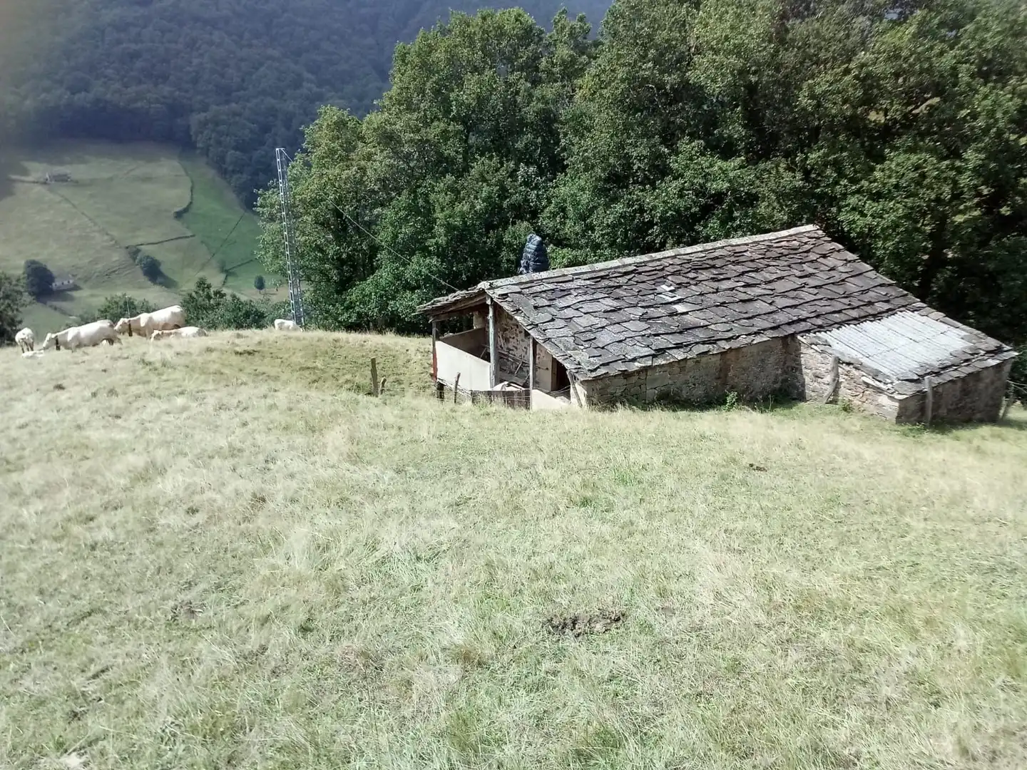 Country house zum Verkauf in N/A, -1, Vega de Pas
