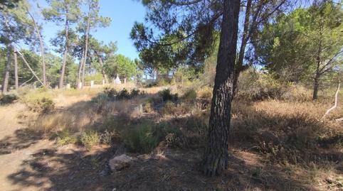 Photo 4 of Residential for sale in Urbanizacion Pinar de la Bota, Isla Cristina Ciudad, Huelva