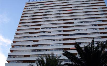 Vista exterior de Pis en venda en Alicante / Alacant amb Aire condicionat, Terrassa i Balcó