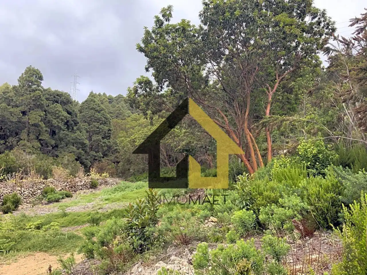 Terreno en venta en Calle La Florida, Santa Bárbara - La Florida