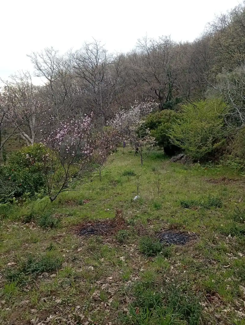 Terreni e lotti in vendita a Valverde de la Vera, imagen 63