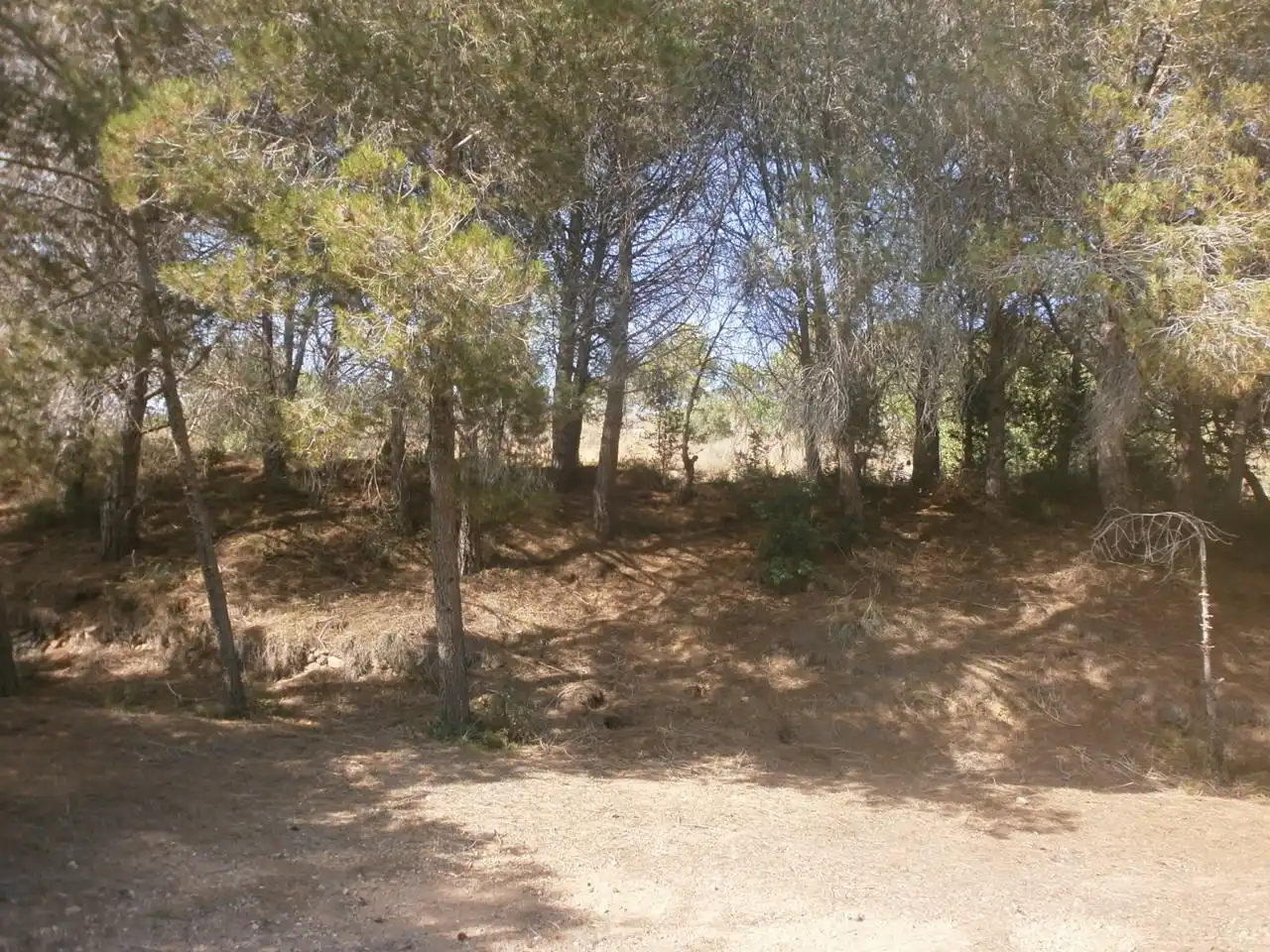 Land for sale in Vilanova d'Escornalbou