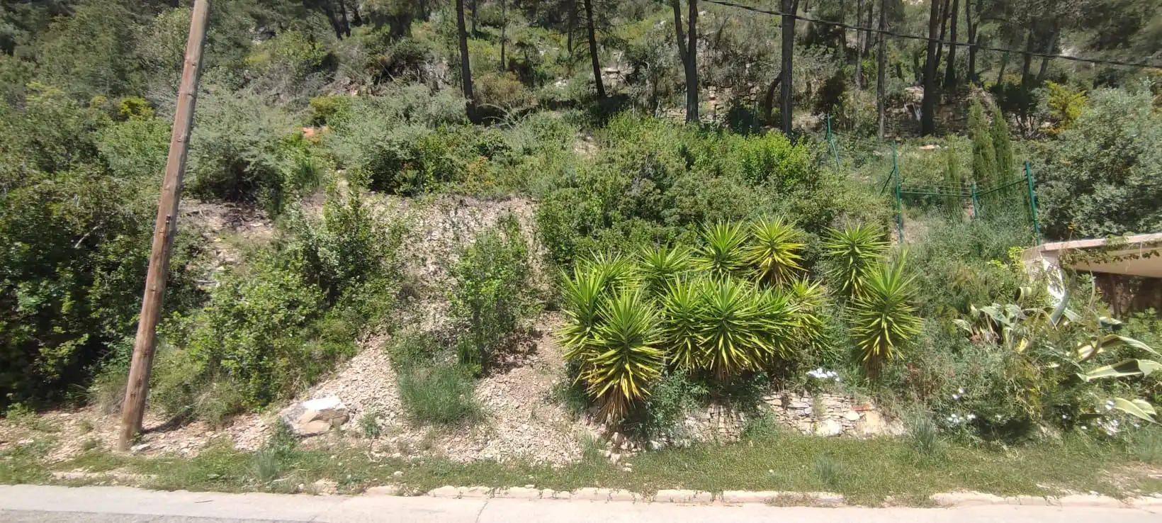 Lands and plots for sale in Vallirana, imagen 6