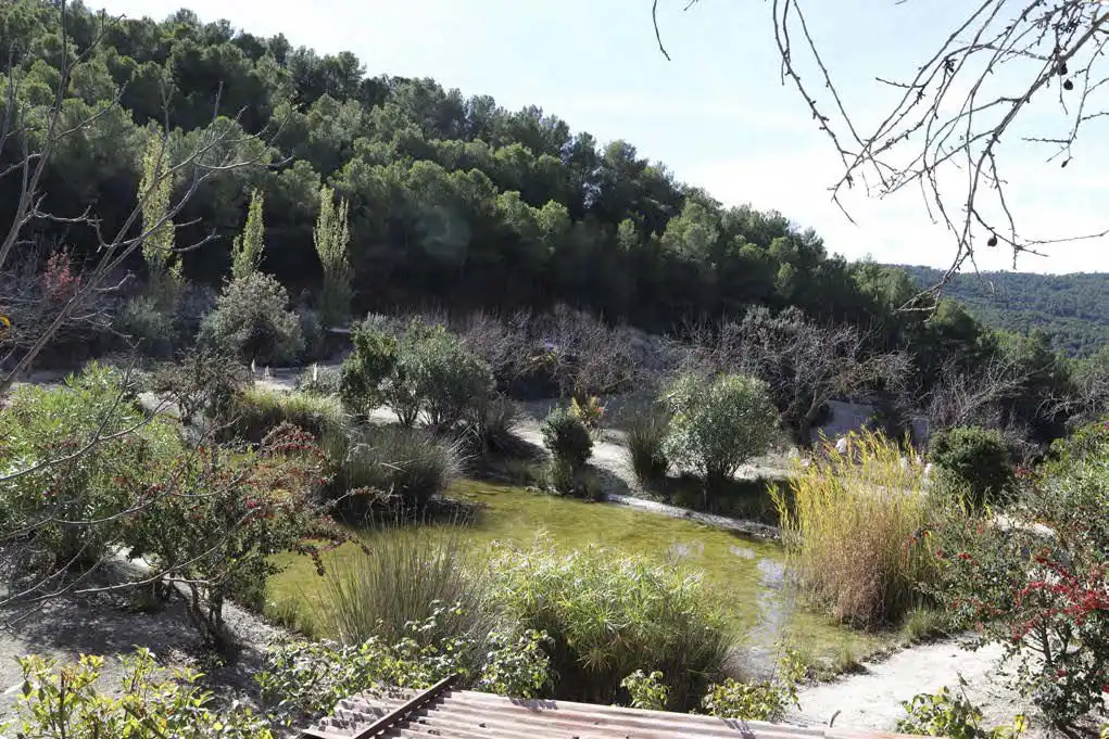 Casa rústica en venta en Torremanzanas / La Torre de les Maçanes, imagen 17