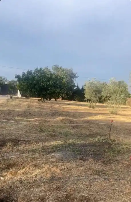Casa rústica amb piscina en venda a Gibraleón, imagen 32
