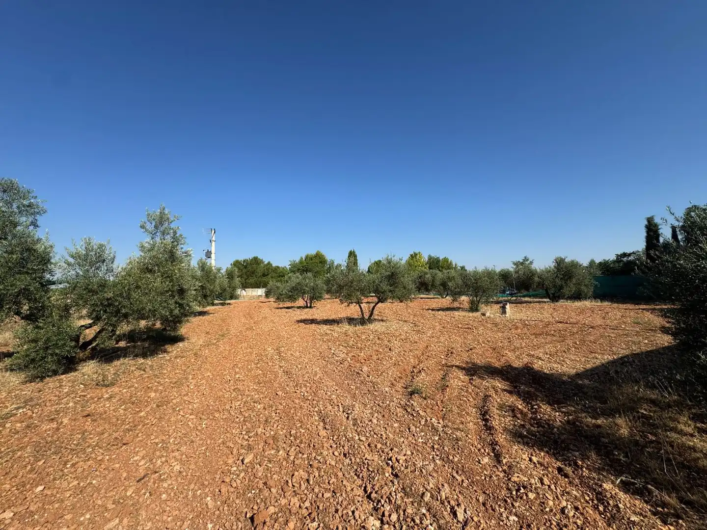 Casa rústica en venda a Valdepeñas, imagen 31
